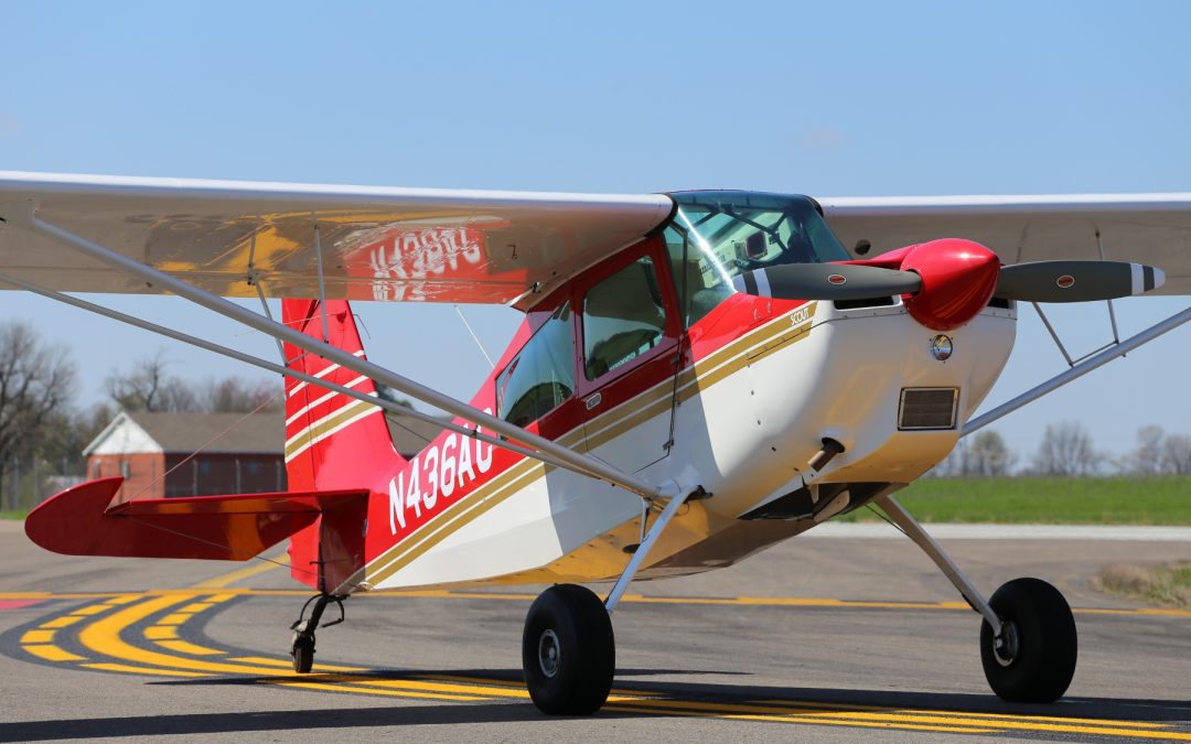 AMERICAN CHAMPION 8 GCBC SCOUT